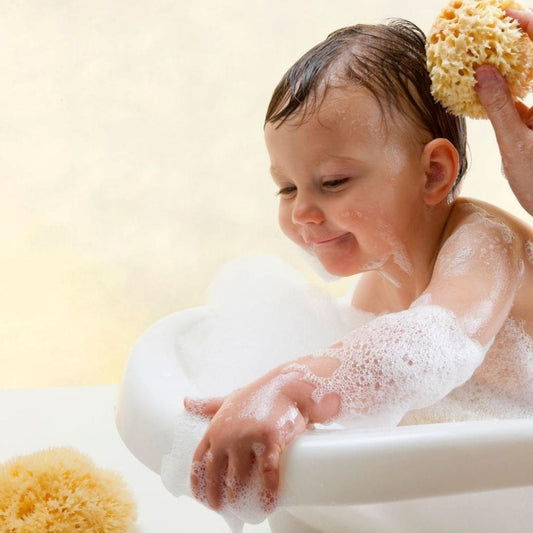 Esponja Natural de Mar Honeycomb - 10 cms.