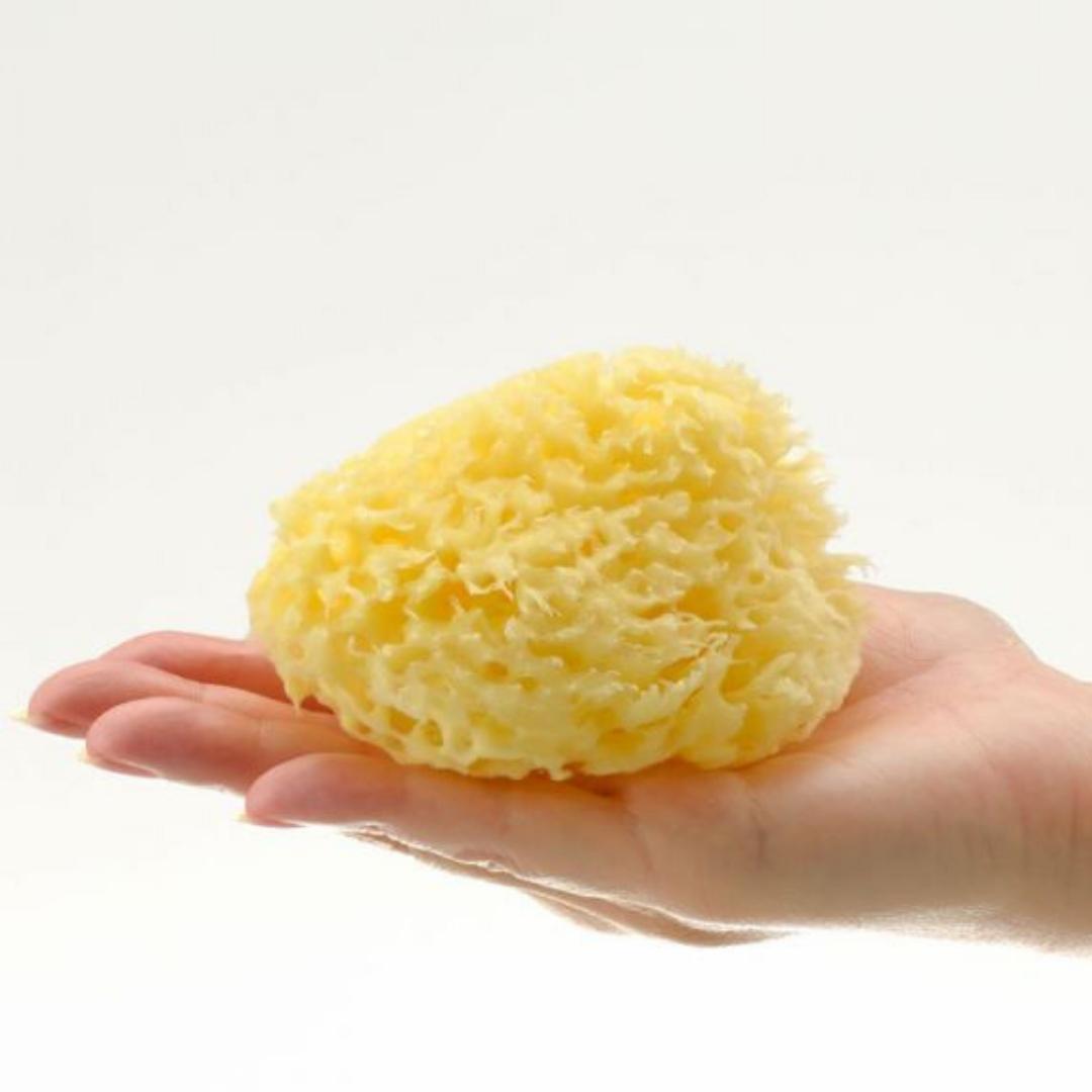 Esponja Natural de Mar Honeycomb - 10 cms.