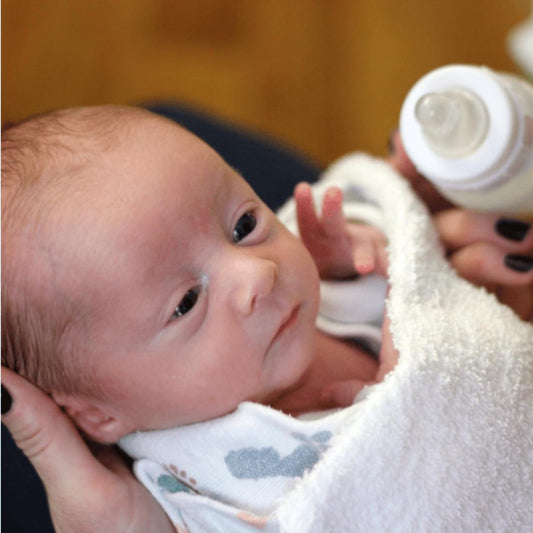 Tetina estándar Options para Prematuro (2 und.)