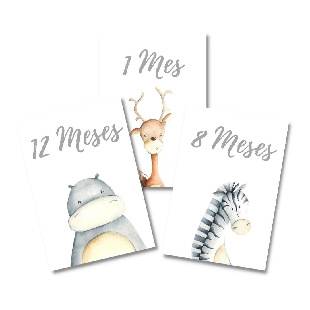 Tarjetas para Fotos Cumple Mes Animali