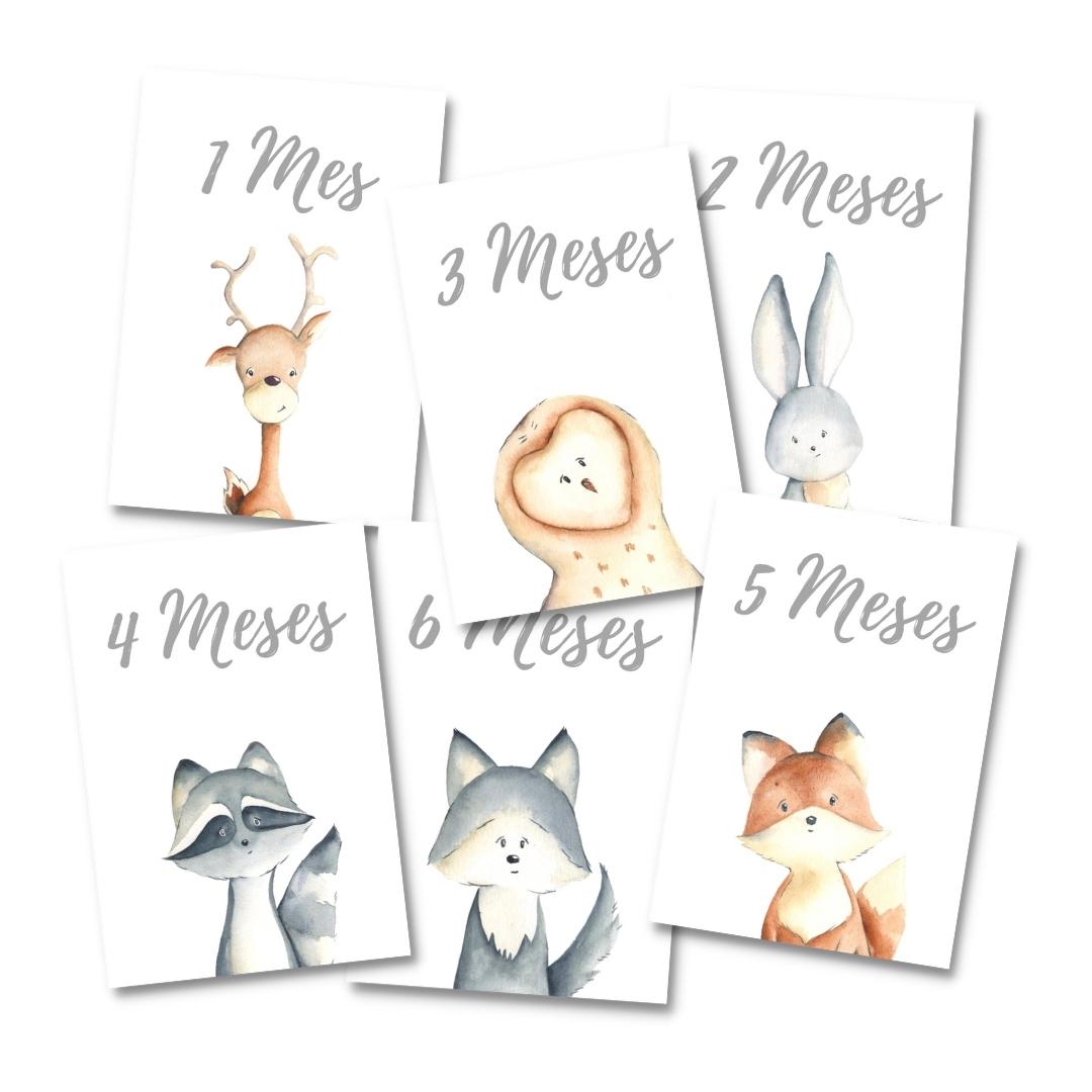 Tarjetas para Fotos Cumple Mes Animali