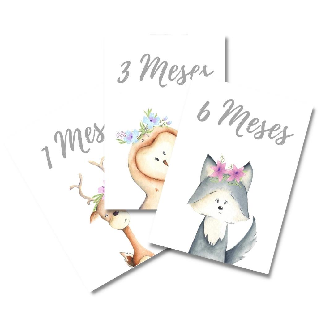 Tarjetas para Fotos Cumple Mes Animali Flori