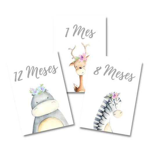 Tarjetas para Fotos Cumple Mes Animali Flori