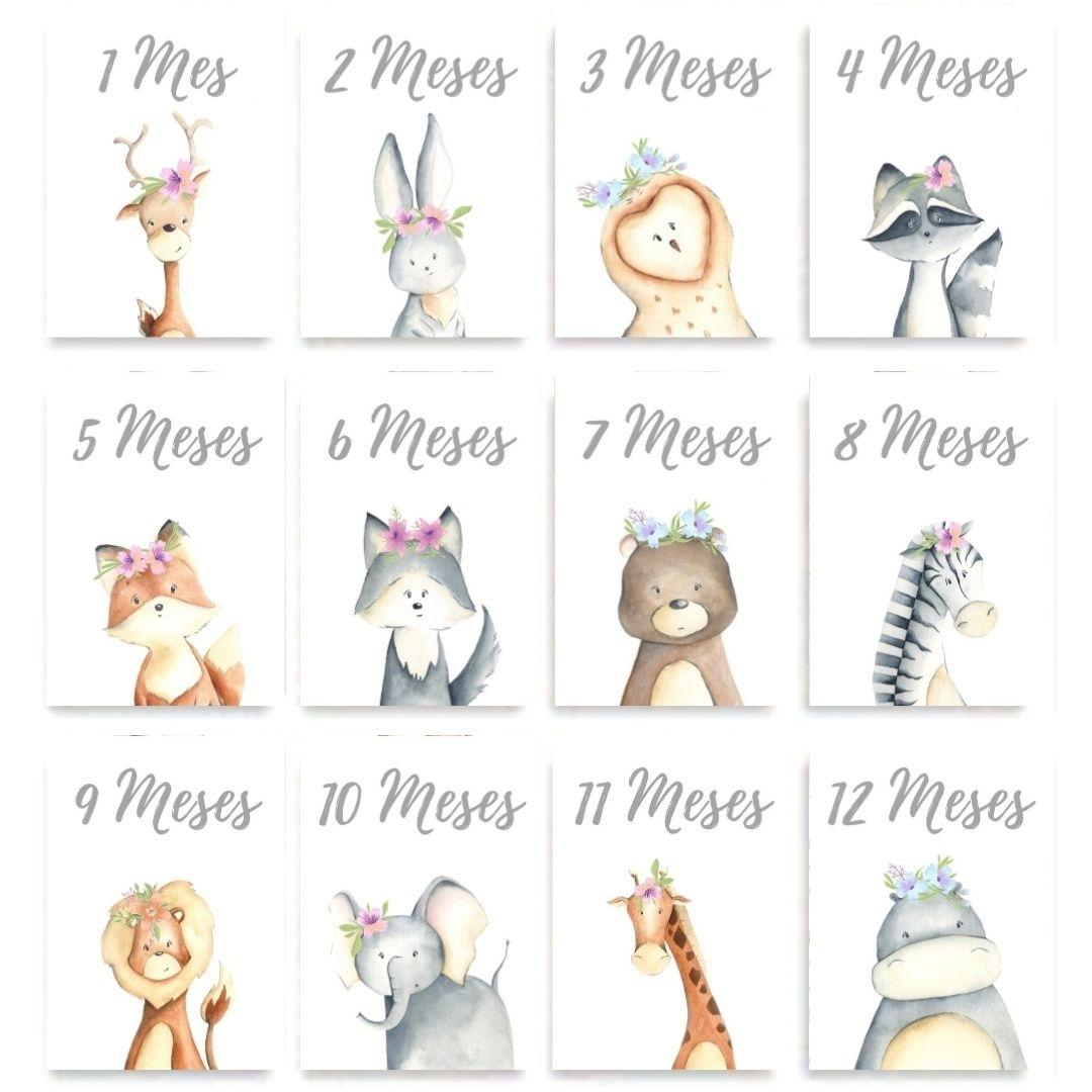 Tarjetas para Fotos Cumple Mes Animali Flori